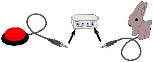 Tiny Switchy