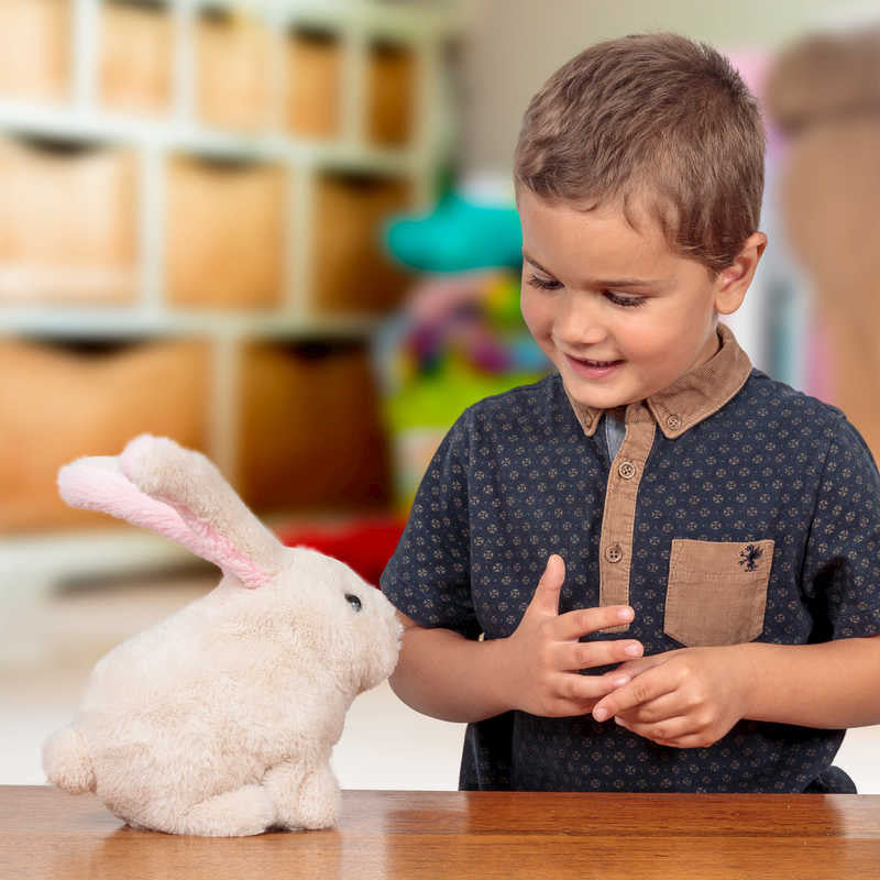 Robbie Rabbit - Switch Adapted