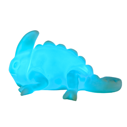 Colour Matching Chameleon Light