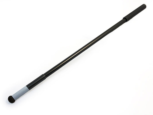 Mouth Stick Stylus