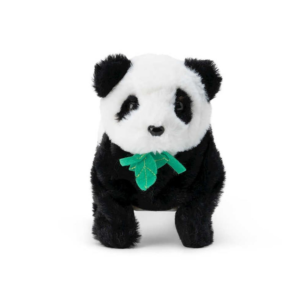 Polly Panda - Switch Adapted