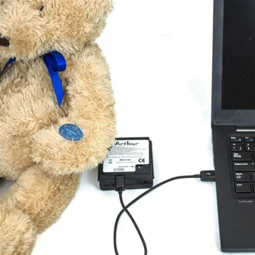 Arthur Bear - Musical Teddy Bear