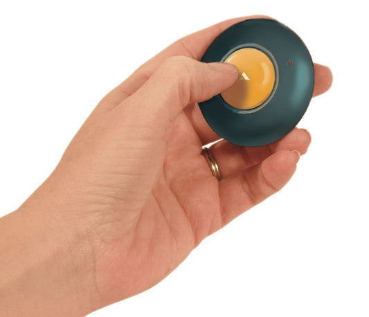 GoTalk Button
