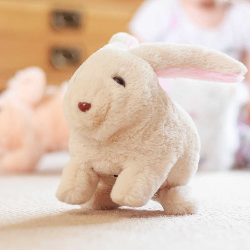 Robbie Rabbit - Switch Adapted