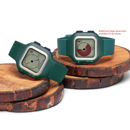 Time Timer Watch
