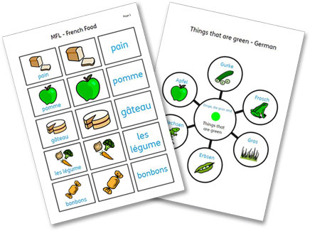 Widgit Online: Dual Language Feature Pack