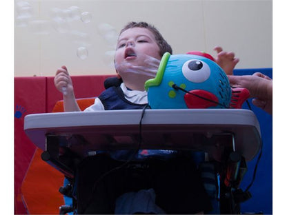 Fish Bubble Machine -  Switch Adapted