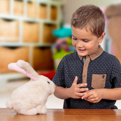 Robbie Rabbit - Switch Adapted