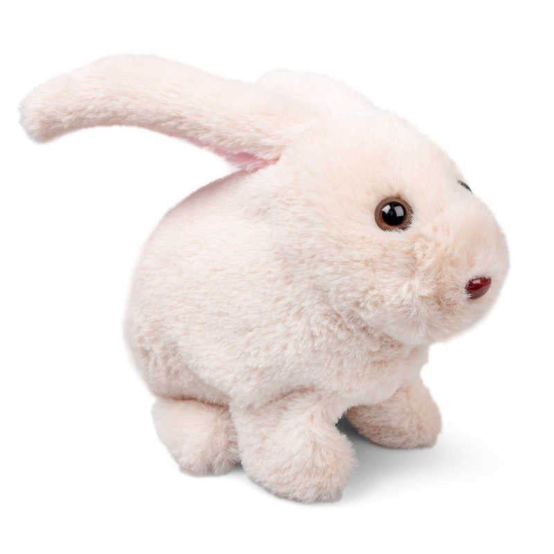 Robbie Rabbit - Switch Adapted