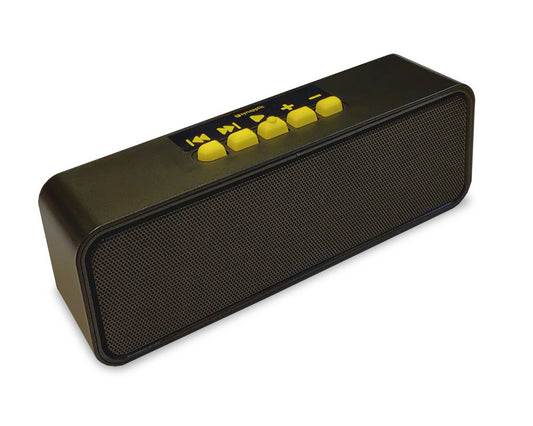 MP3 Player - Switch Adapted